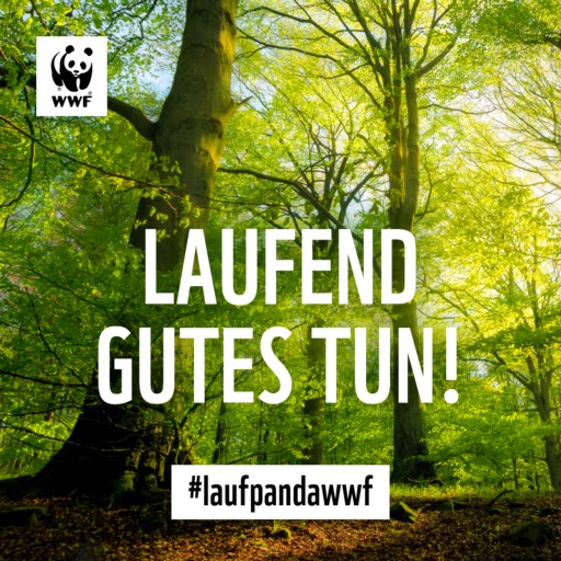 Wir sind am Start