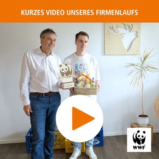 WWF Firmenlauf