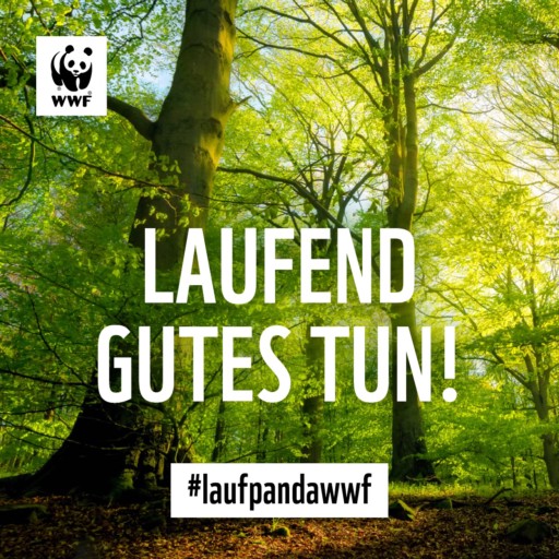 Wir sind am Start